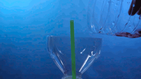 cbac3c1fa35aba04bd01488e2a4dee98_1525173150_9957.gif