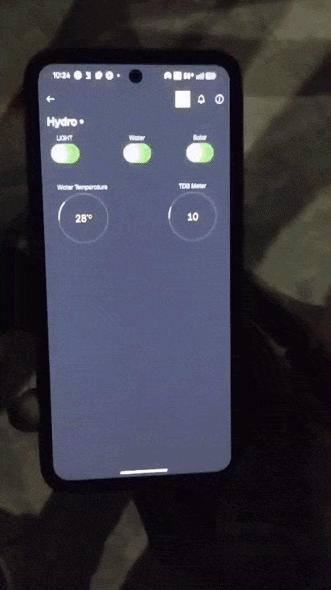 시금치 서식지 만들기