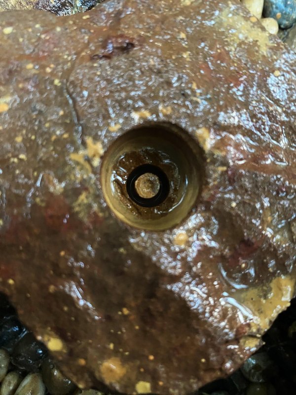 드릴