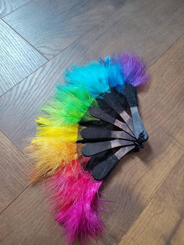 소개: 무지개 깃털 부채