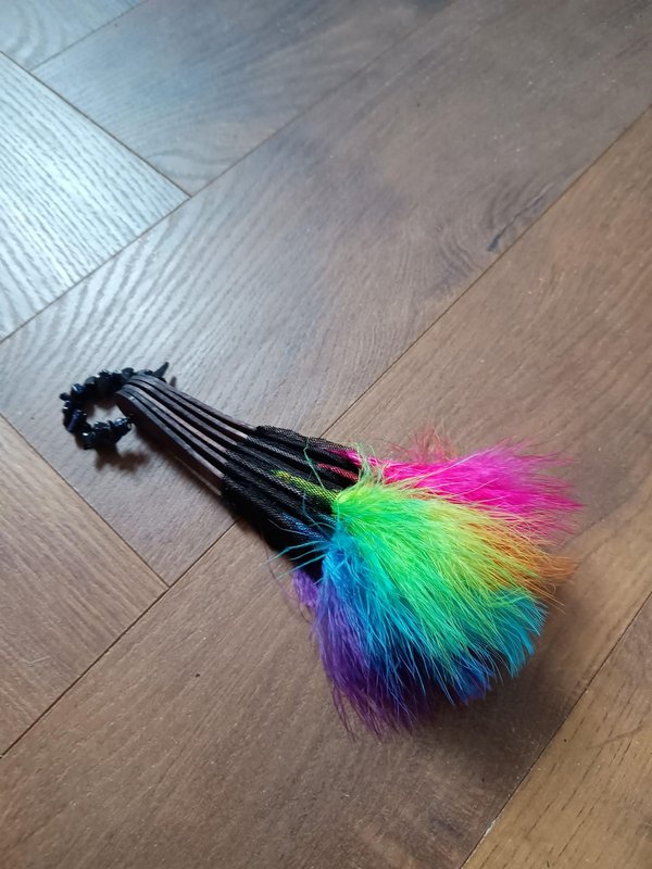 소개: 무지개 깃털 부채